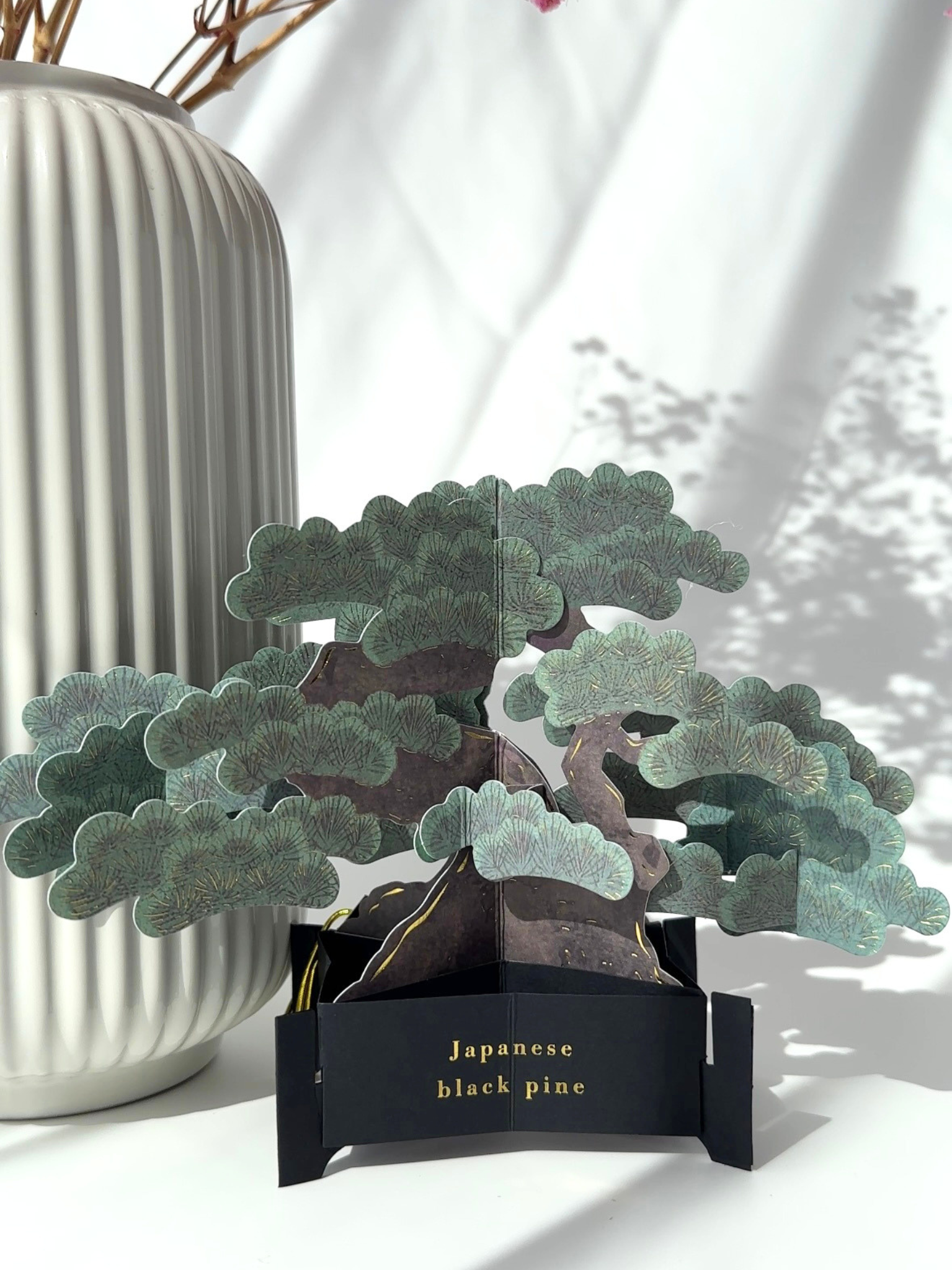 3D bonsai popup card Japanese black pine greeting card aesthetic decorative paper bonsai desk decoration