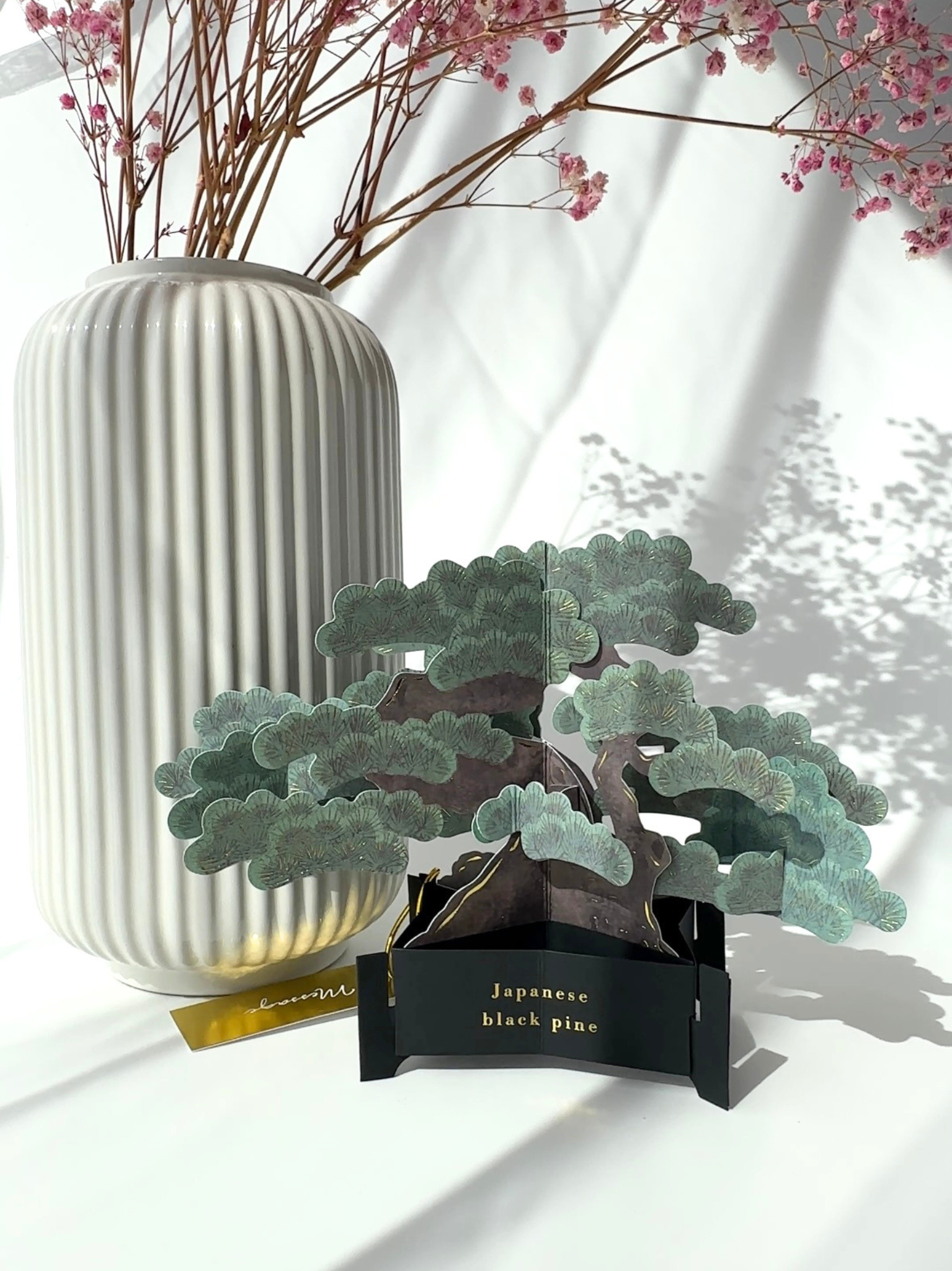 3D bonsai popup card Japanese black pine greeting card aesthetic decorative paper bonsai