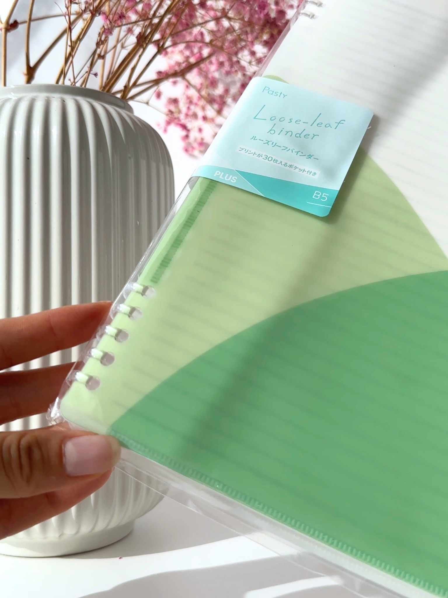 pastel binder B5 loose leaf aesthetic study organization Japanese stationery green