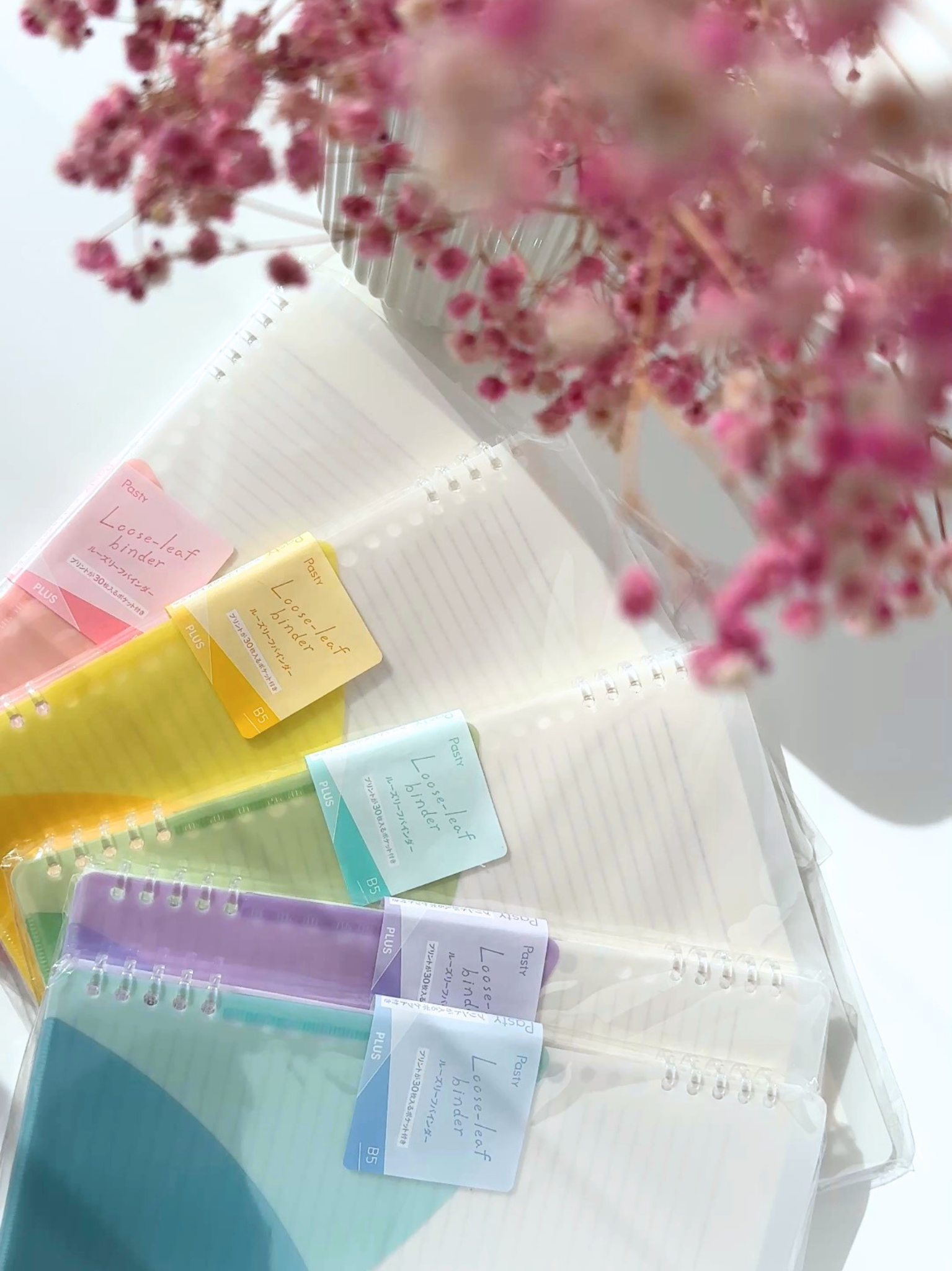 pastel binder B5 loose leaf aesthetic study organization Japanese stationery pink yellow green purple blue