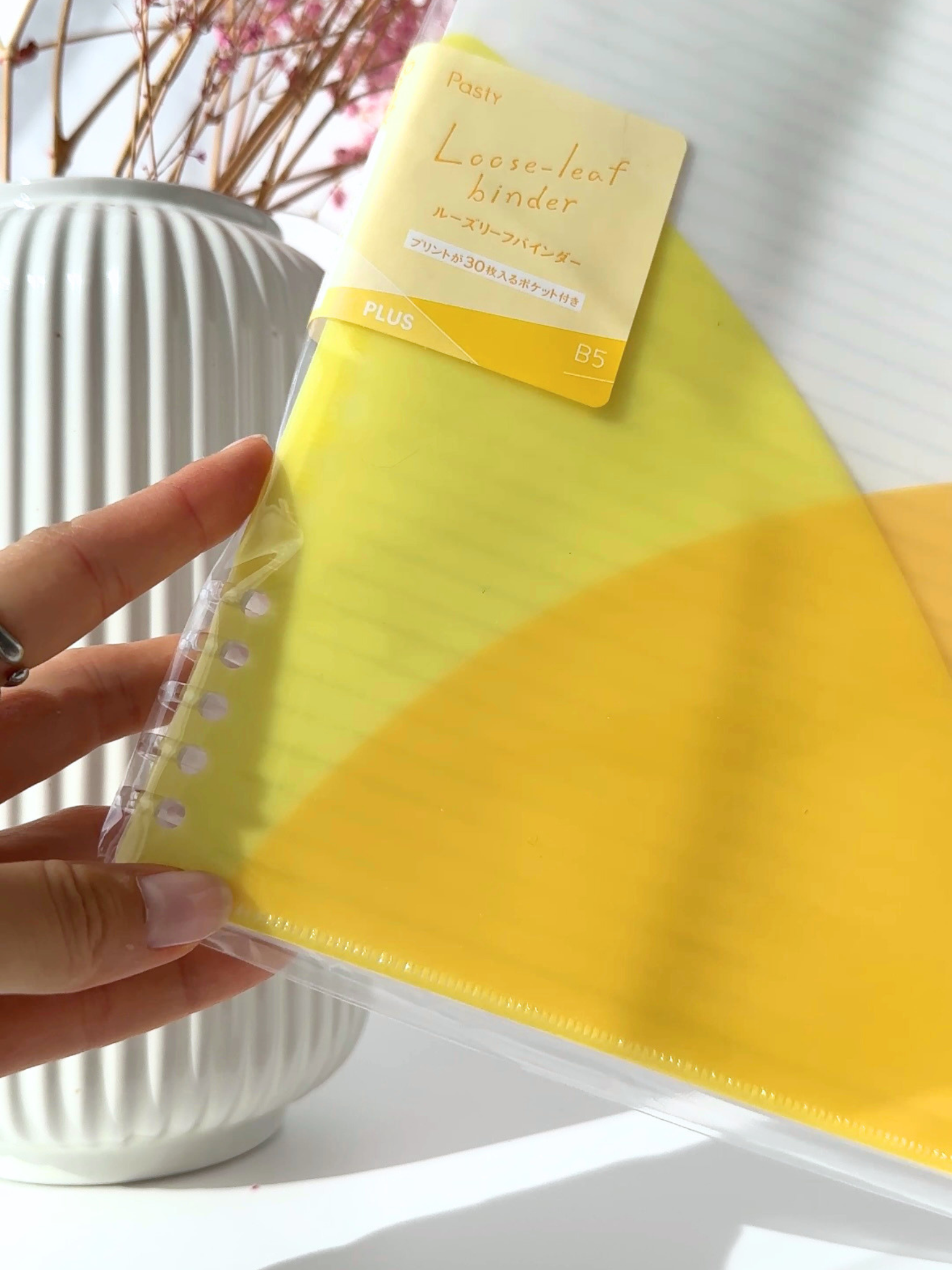 pastel binder B5 loose leaf aesthetic study organization Japanese stationery yellow